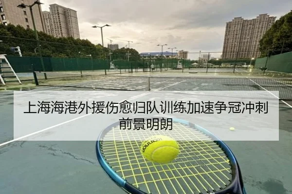上海海港外援伤愈归队训练加速争冠冲刺前景明朗