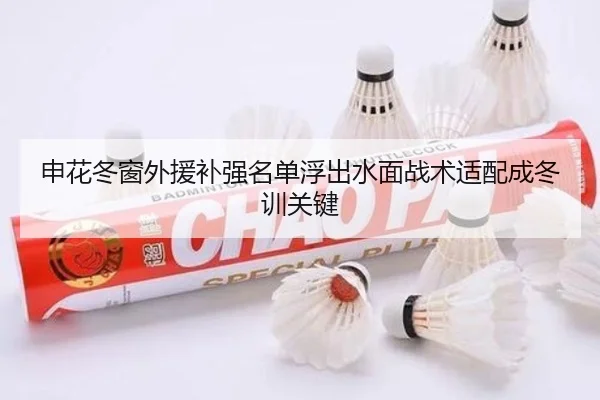申花冬窗外援补强名单浮出水面战术适配成冬训关键
